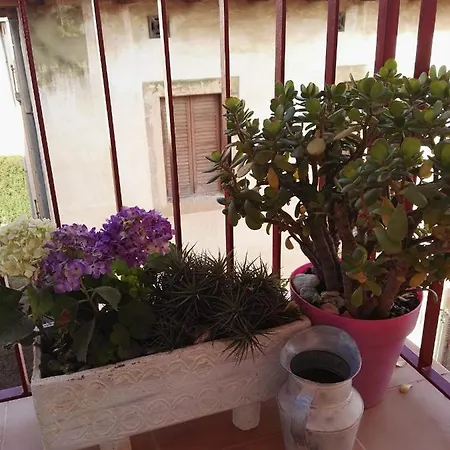 Apartamento Oliver Calella Extérieur photo